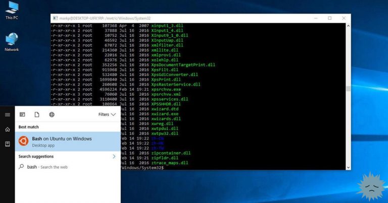 The Lost Potential of Windows Subsystem for Linux (WSL)