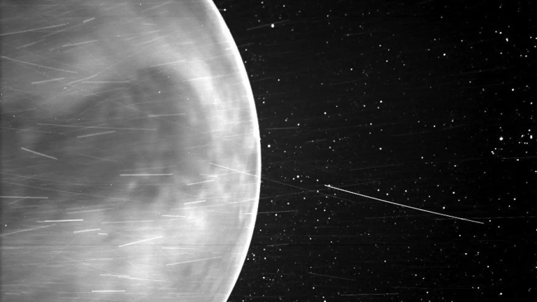 Exploring Venus’s Atmosphere: New Data Received from the Parker Probe