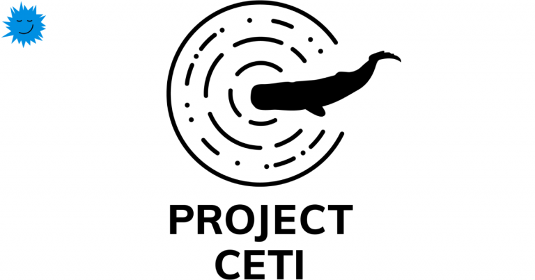 CETI project – sperm whale language decoding
