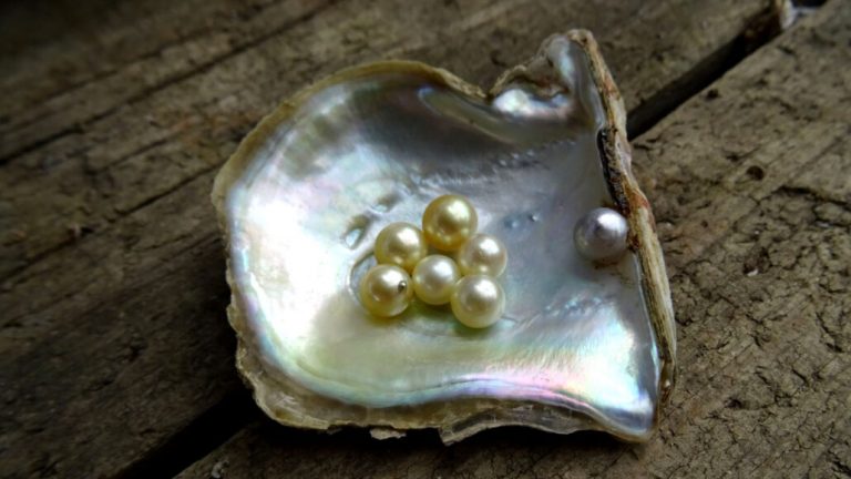 How shellfish create a perfectly symmetrical pearl