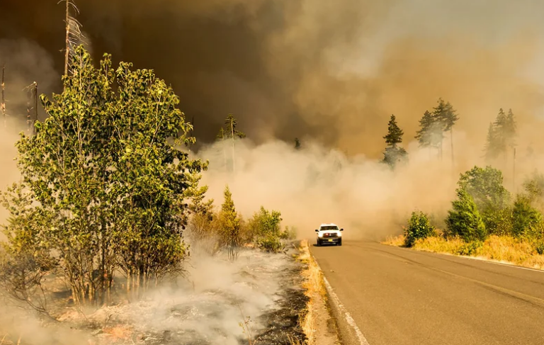 In the future, your car will be able to warn you of nearby forest fires.