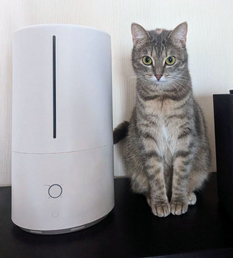 Rescuing the humidifier from Xiaomi networks